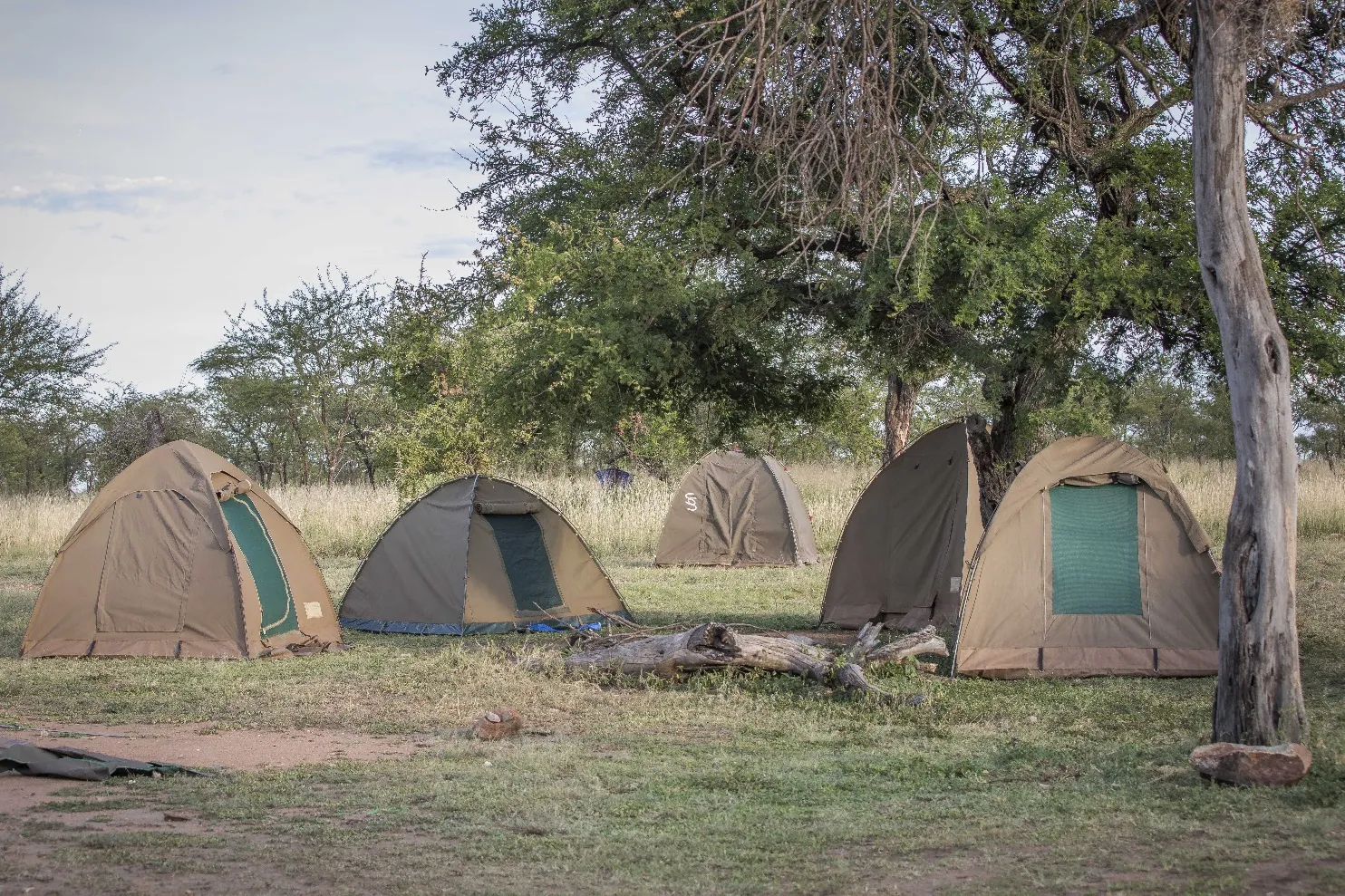 Budget & Camping Safaris